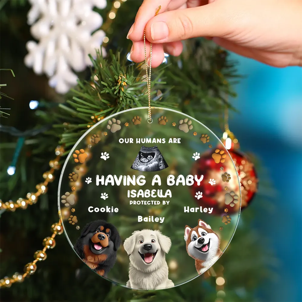 Custom Photo Our Humans Are Having A Baby Pregnancy Announcement Dog 3D Effect - Personalized Circle Acrylic Ornament - Image 4