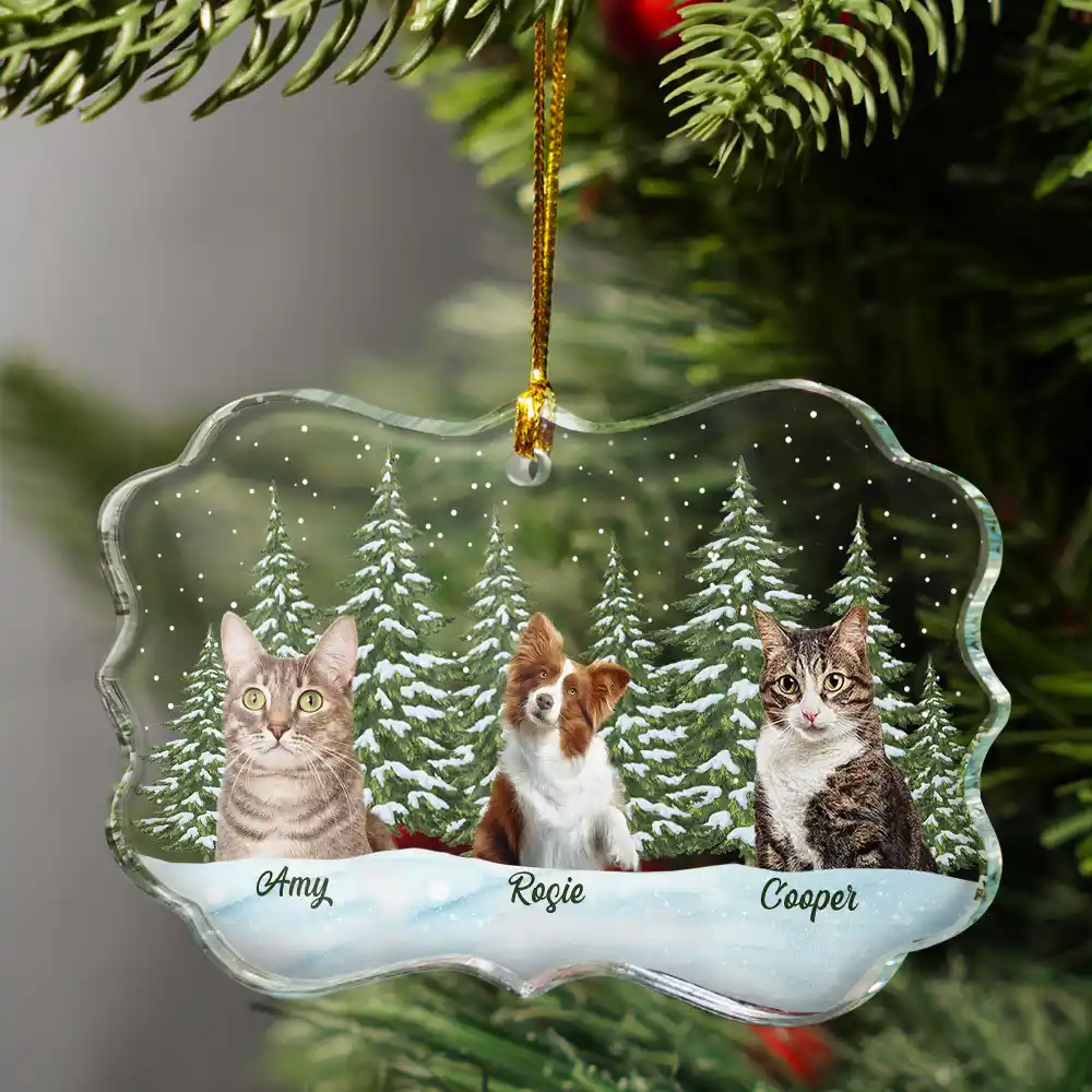 Custom Photo Pet Face Dog Cat Family - Personalized Medallion Glass Ornament - Image 4