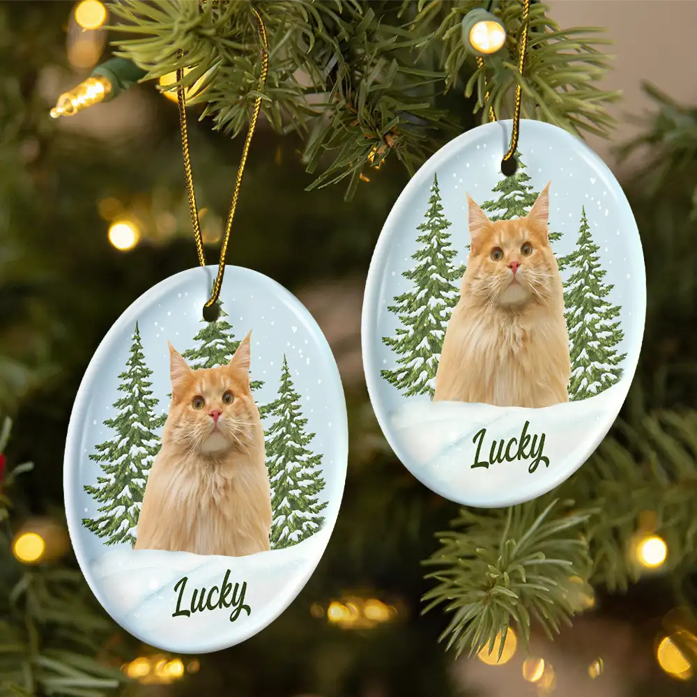Custom Photo Pet Face Memorial - Personalized Circle Ceramic Ornament - Image 3