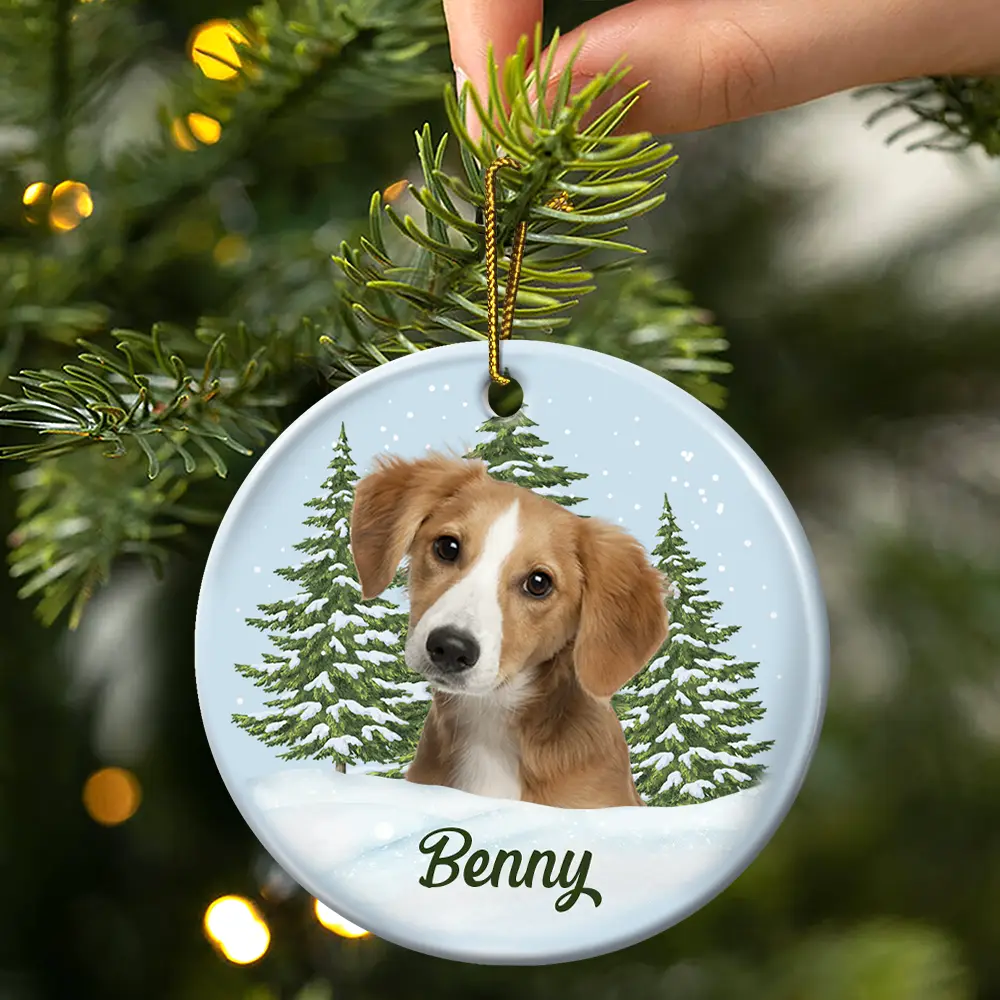Custom Photo Pet Face Memorial - Personalized Circle Ceramic Ornament - Image 4