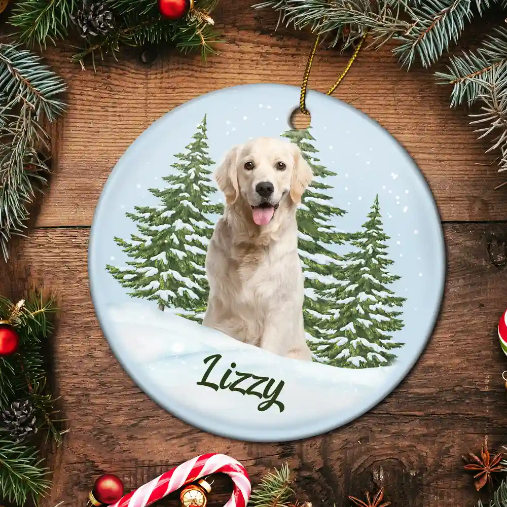 Custom Photo Pet Face Memorial - Personalized Circle Ceramic Ornament - Image 6