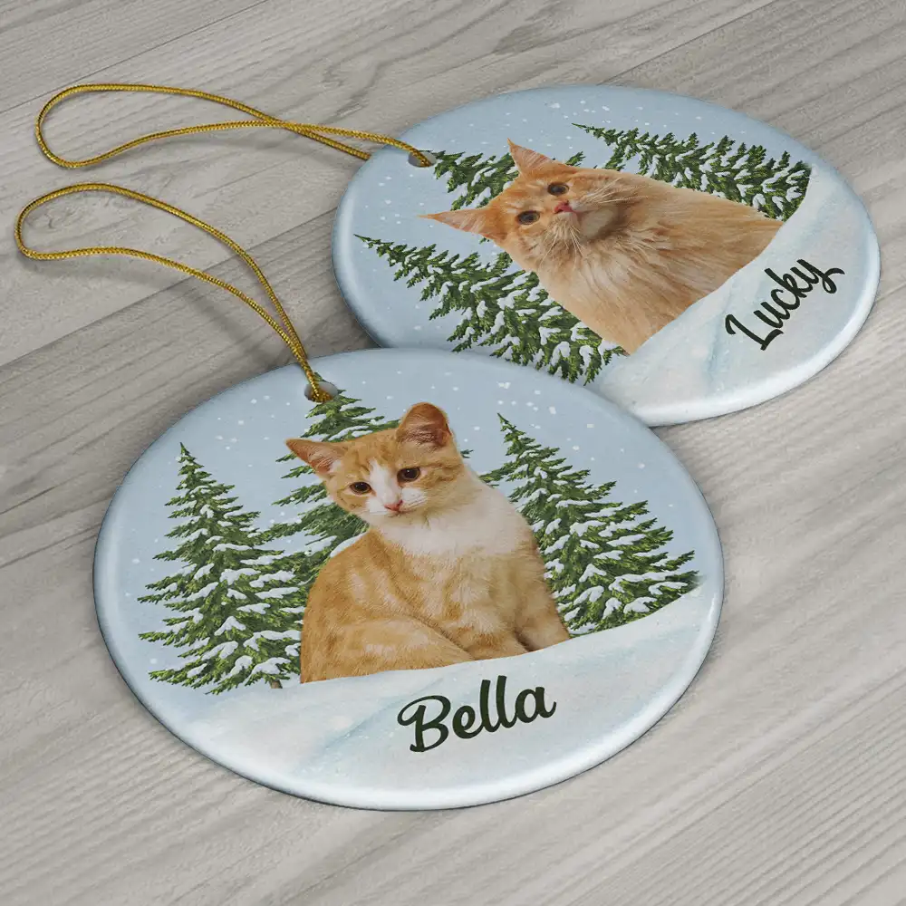 Custom Photo Pet Face Memorial - Personalized Circle Ceramic Ornament - Image 7