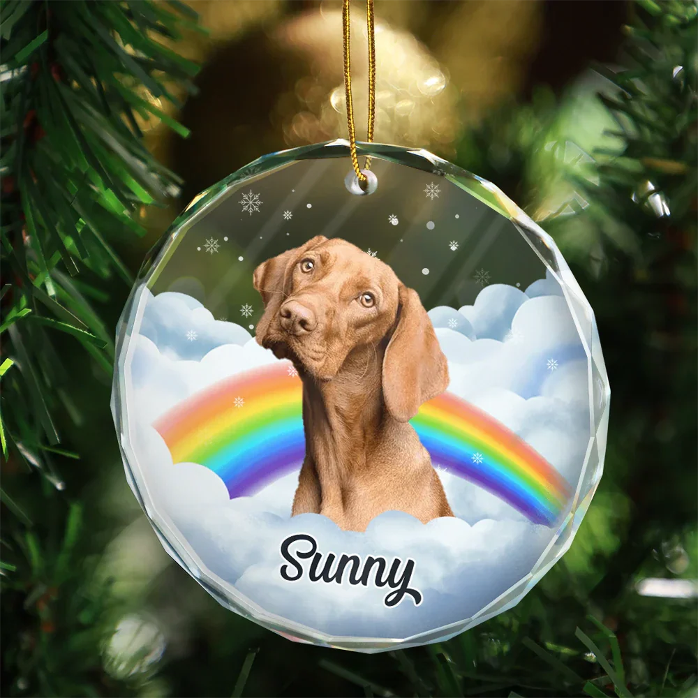Custom Photo Pet Face Rainbow Bridge - Personalized Circle Glass Ornament - Image 4