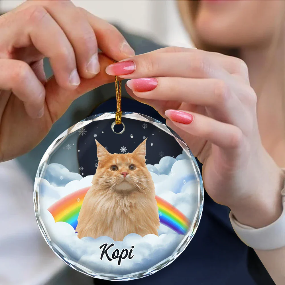 Custom Photo Pet Face Rainbow Bridge - Personalized Circle Glass Ornament - Image 5