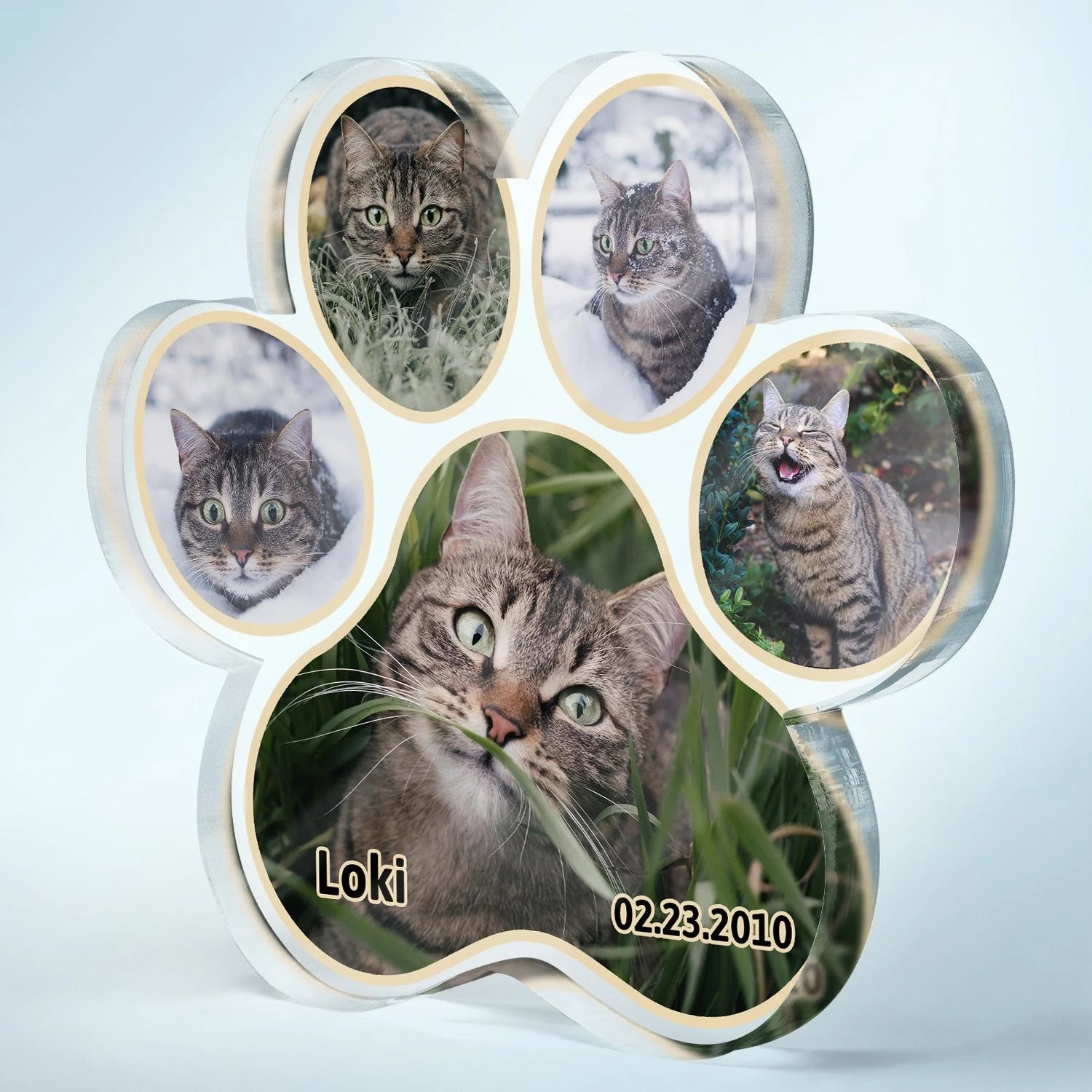 Custom Photo Pet Loss - Memorial Gift For Dog Lover, Cat Mom - Personalized Paw Shaped Acrylic Plaque - Image 2