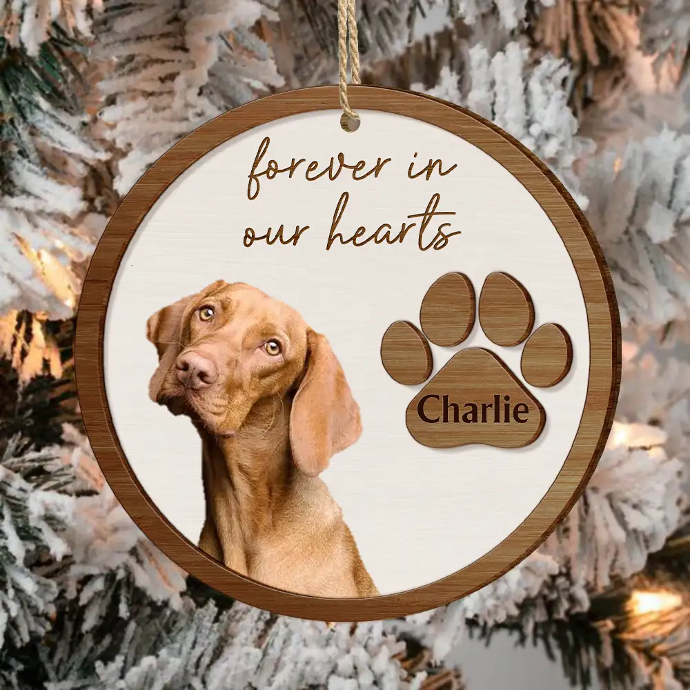 Custom Photo Pet Memorial Pet Loss Forever In Our Hearts - Personalized 2-Layered Wooden Ornament - Image 4