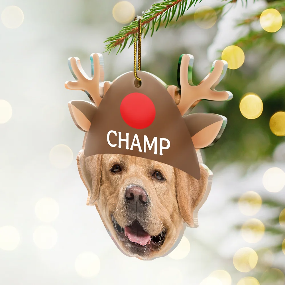 Custom Photo Santa Hat Dog Cat Pet Face - Personalized Custom Shaped Acrylic Ornament - Image 3