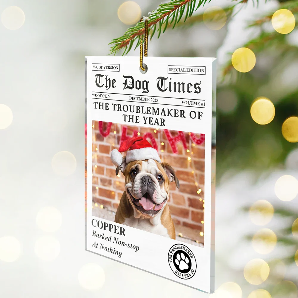 Custom Photo The Dog Times The Meow Times - Personalized Custom Shaped Acrylic Ornament - Image 3