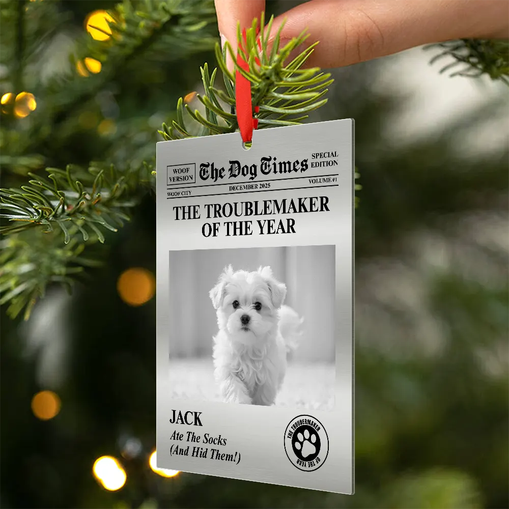 Custom Photo The Dog Times, The Meow Times - Personalized Metal Ornament - Image 2