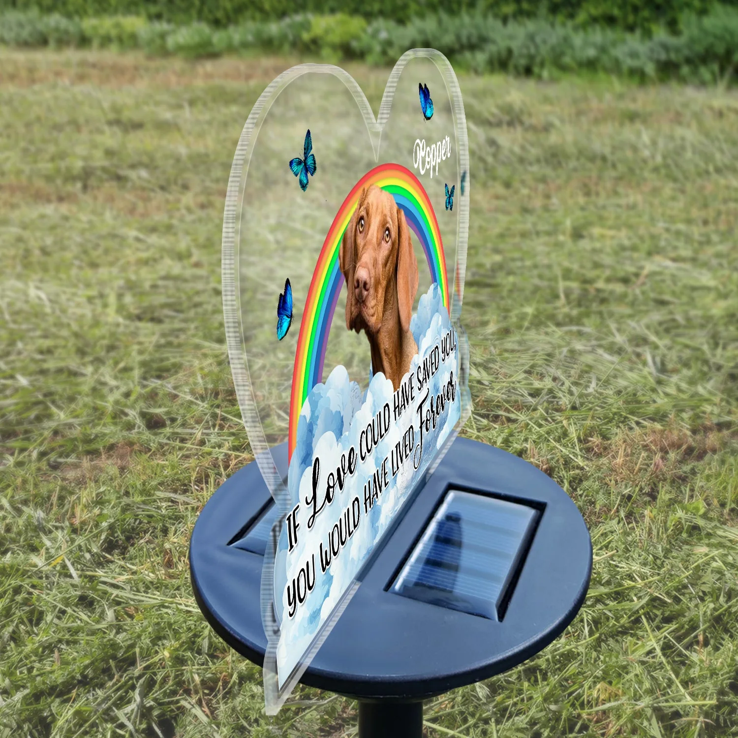 Custom Photo You Left Paw Prints On Our Hearts - Memorial Gift For Dog Lovers, Cat Lovers, Pet Lovers - Personalized Solar Light - Image 4