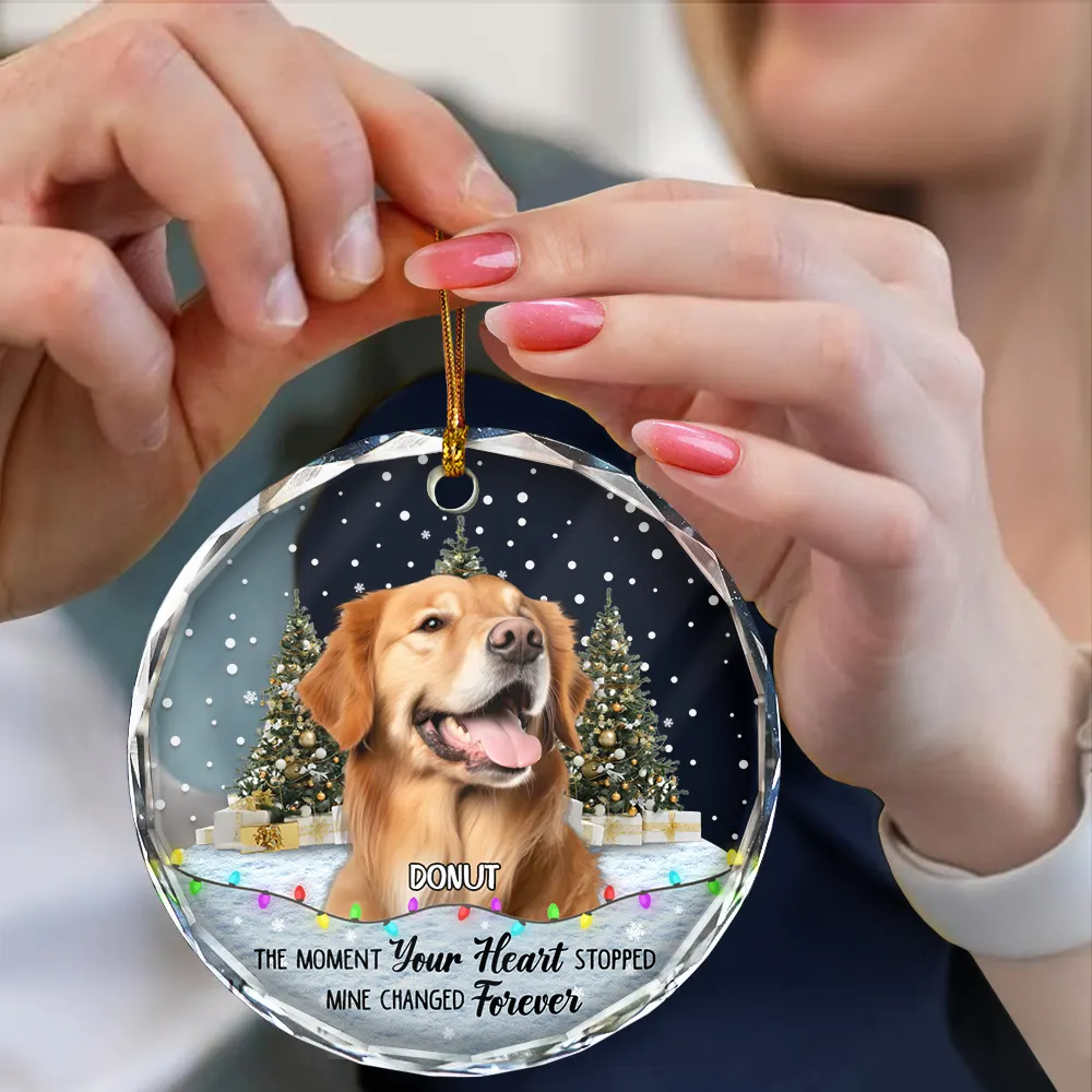 Custom Photo You Left Paw Prints Pet Memorial - Personalized Circle Glass Ornament - Image 5