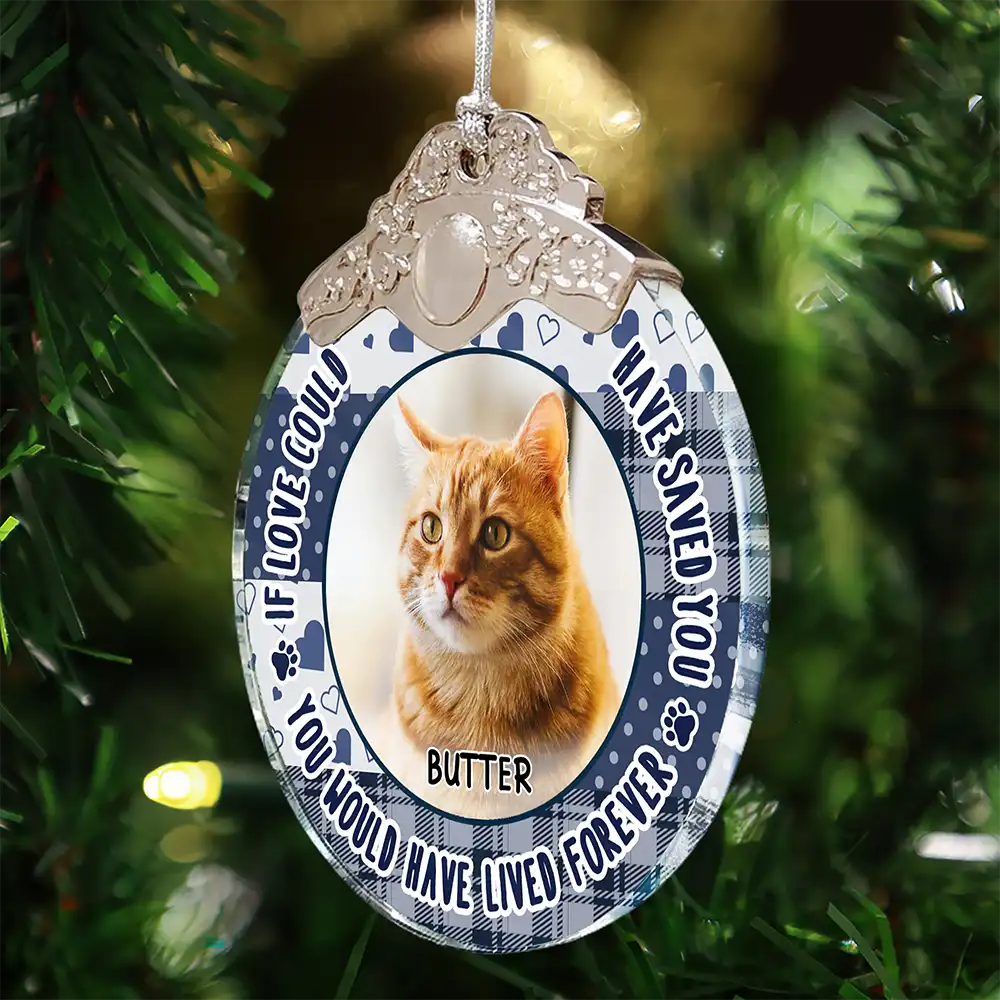 Custom Photo You Were Favorite Hello Memorial Pet - Personalized Glass Ornament With Silver Cap - Image 4