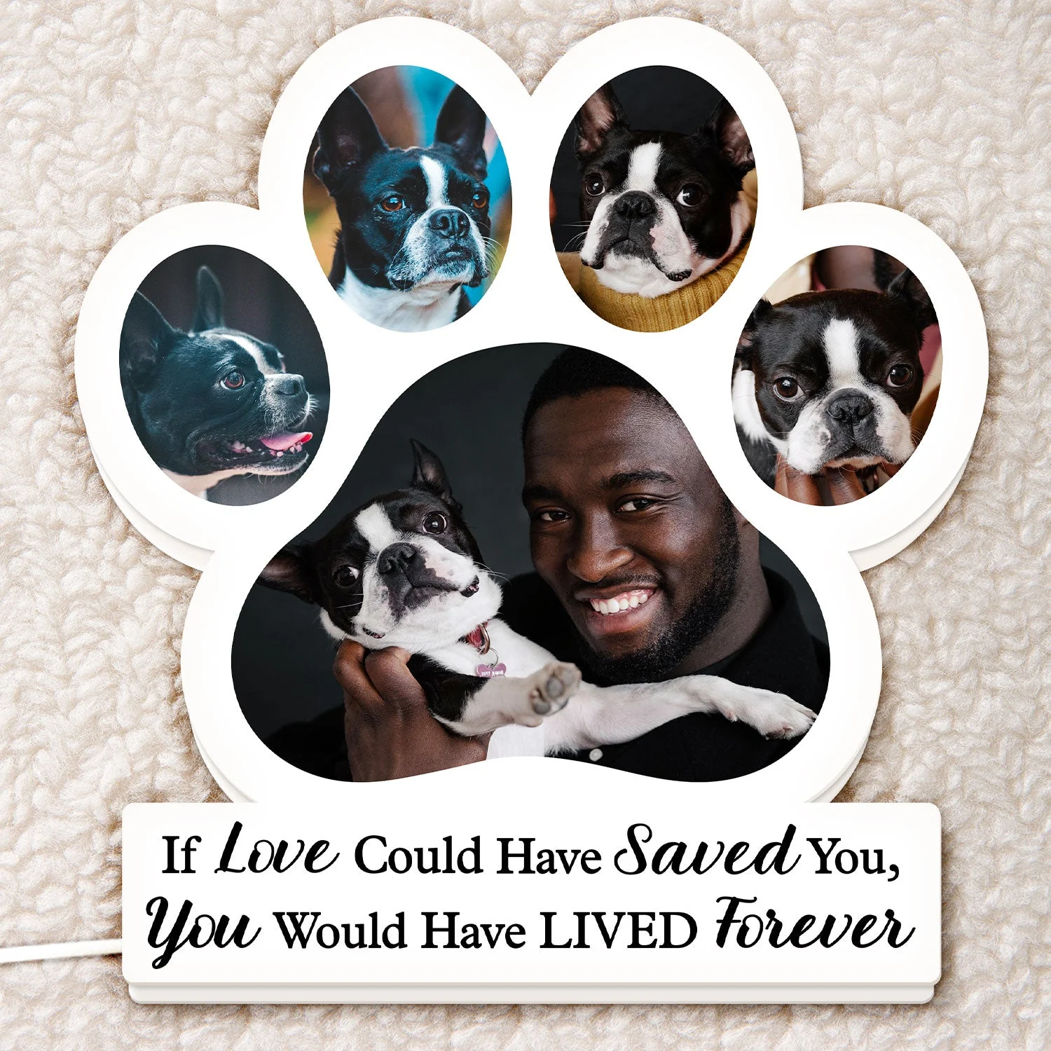Custom Photo You Were My Favorite Hello And My Hardest Goodbye - Memorial Gift For Pet Lovers, Dog Mom, Dog Dad, Cat Mom, Cat Dad - Personalized Custom Shaped Photo Light Box - Image 5