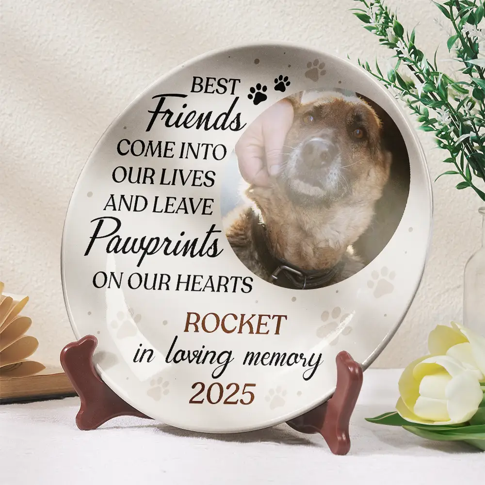 Custom Photo You Were My Favorite Hello Memorial Dog Cat - Personalized Ceramic Plate - Image 2