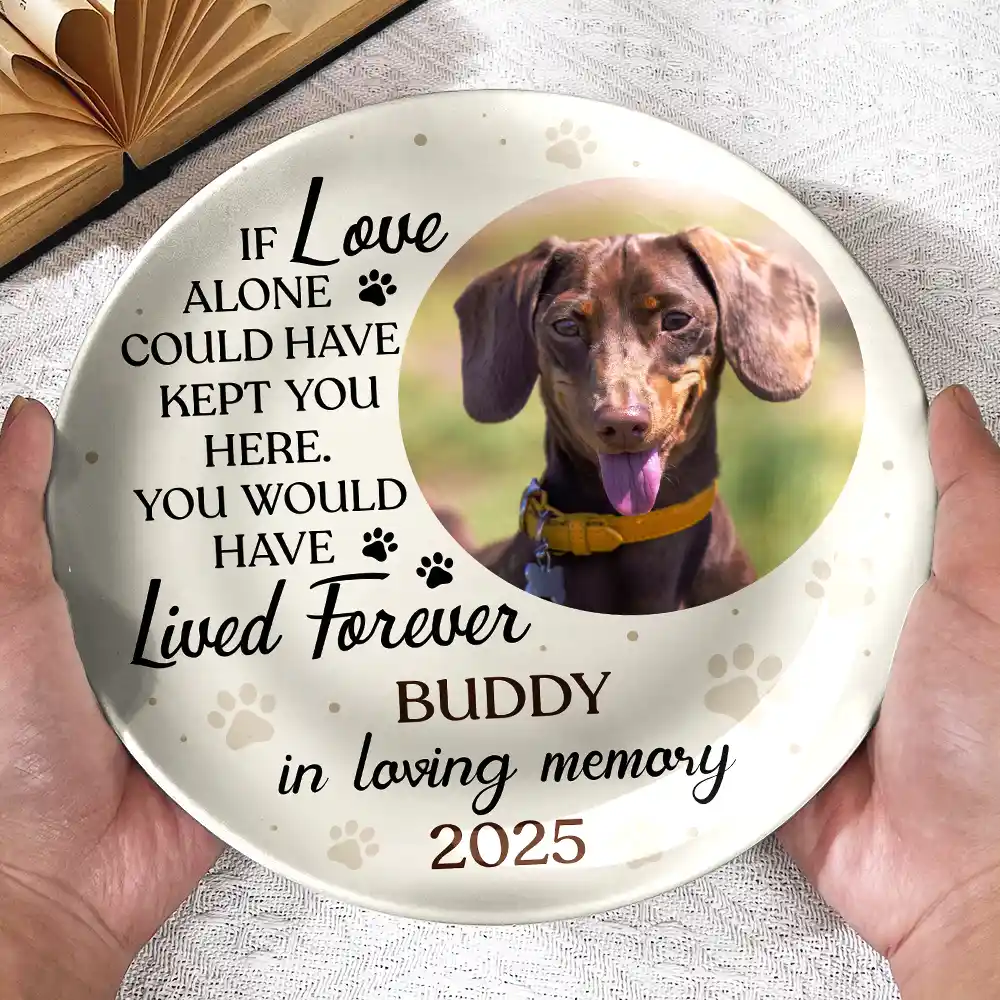 Custom Photo You Were My Favorite Hello Memorial Dog Cat - Personalized Ceramic Plate - Image 3