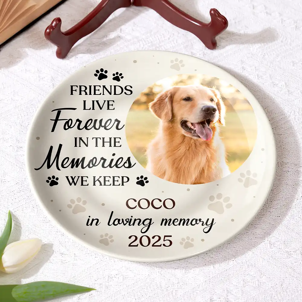 Custom Photo You Were My Favorite Hello Memorial Dog Cat - Personalized Ceramic Plate - Image 4