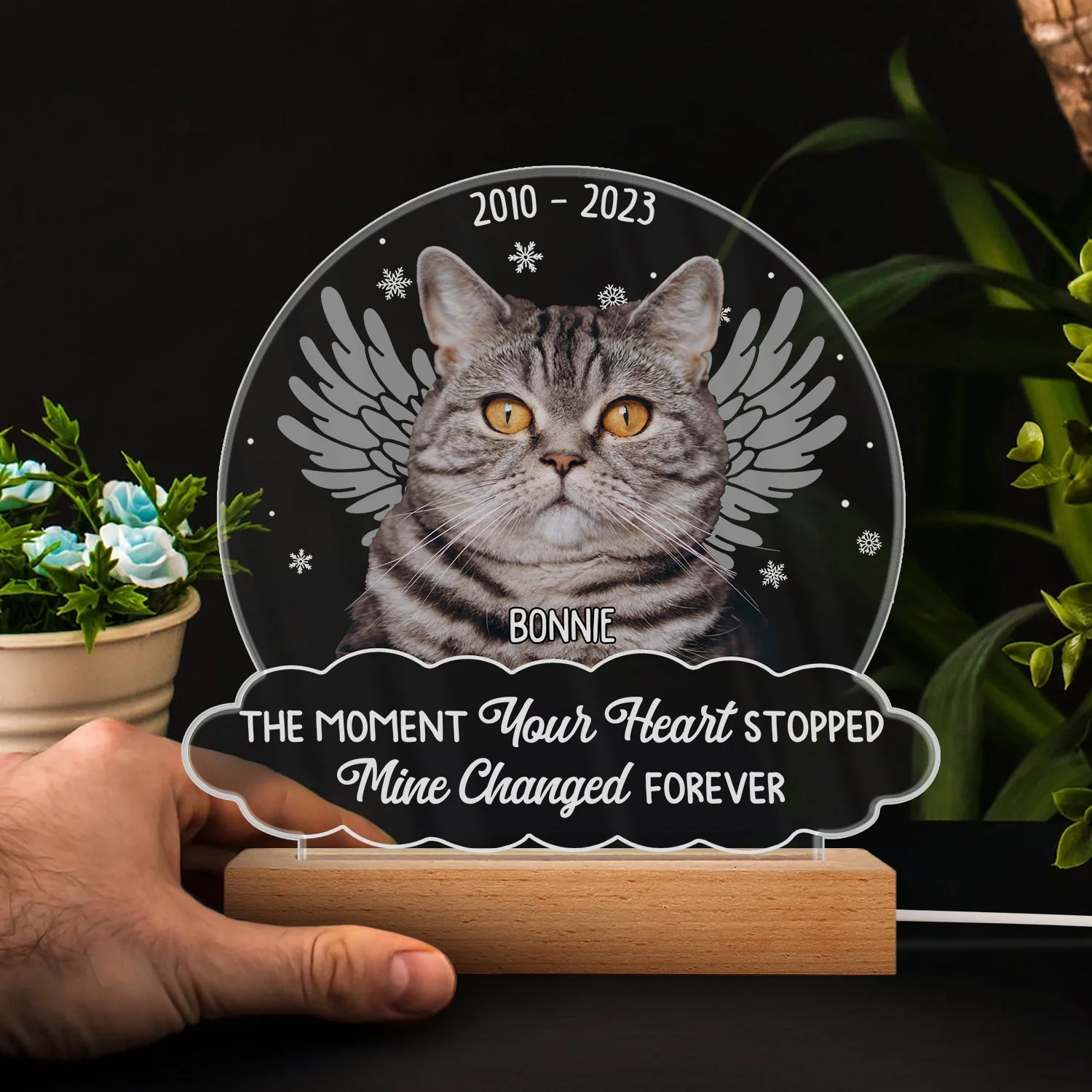 Custom Photo You Were My Favorite Hello - Memorial Gift For Pet Lovers - 3D Led Light Wooden Base - Image 5