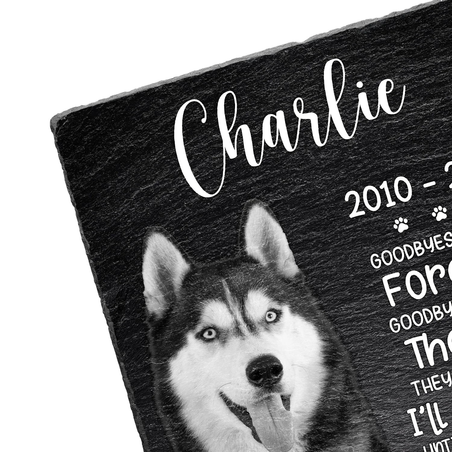 Custom Photo You Will Never Leave Our Hearts - Memorial Gift For Pet Lovers - Personalized Rectangle Memorial Garden Stone - Image 3