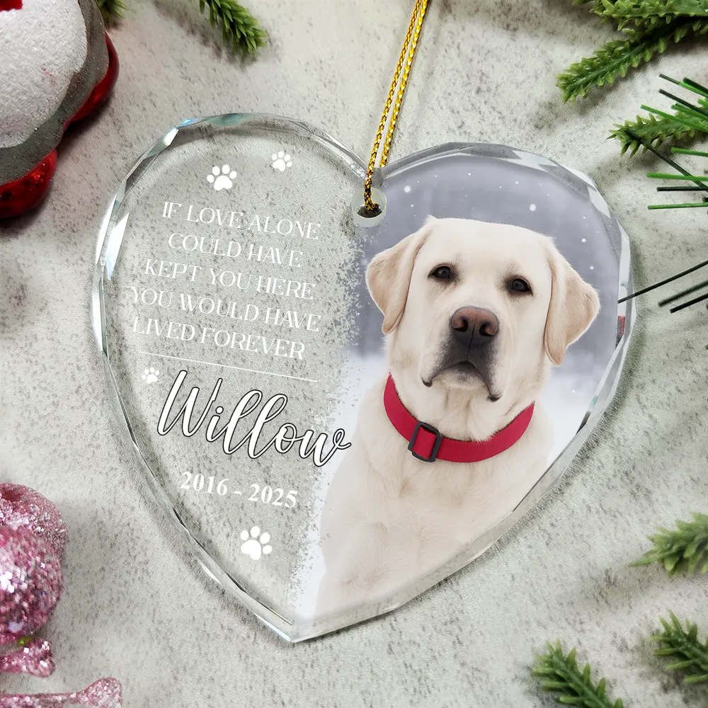 Custom Photo You Would Have Lived Forever Pet Loss - Personalized Heart Shaped Glass Ornament - Image 4