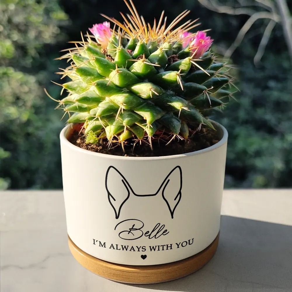 Forever In Our Hearts Memorial - Personalized Ceramic Plant Pot - Image 4