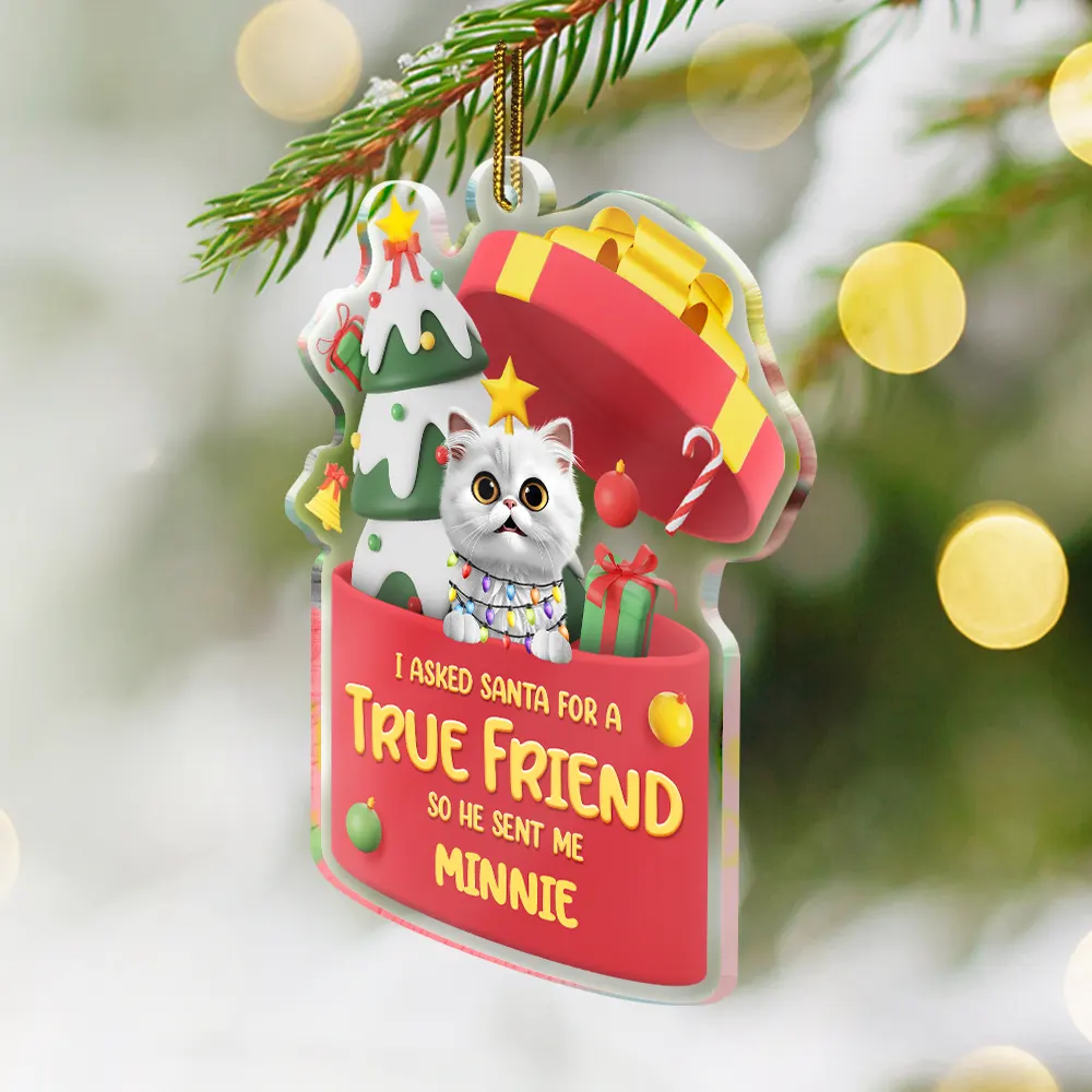 I Asked Santa For A True Friend Dog Cat 3D Effect - Personalized Custom Shaped Acrylic Ornament - Image 2