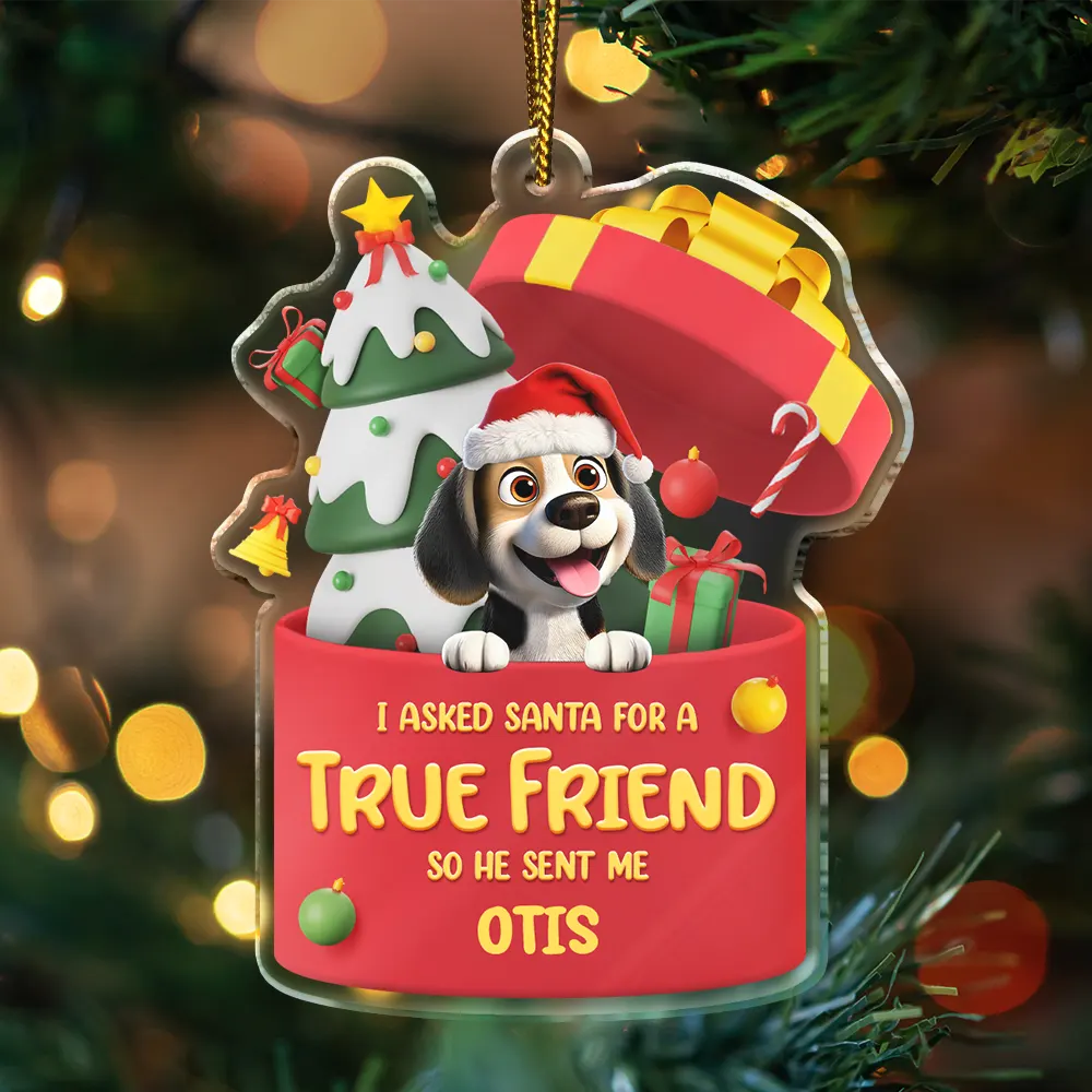I Asked Santa For A True Friend Dog Cat 3D Effect - Personalized Custom Shaped Acrylic Ornament - Image 3