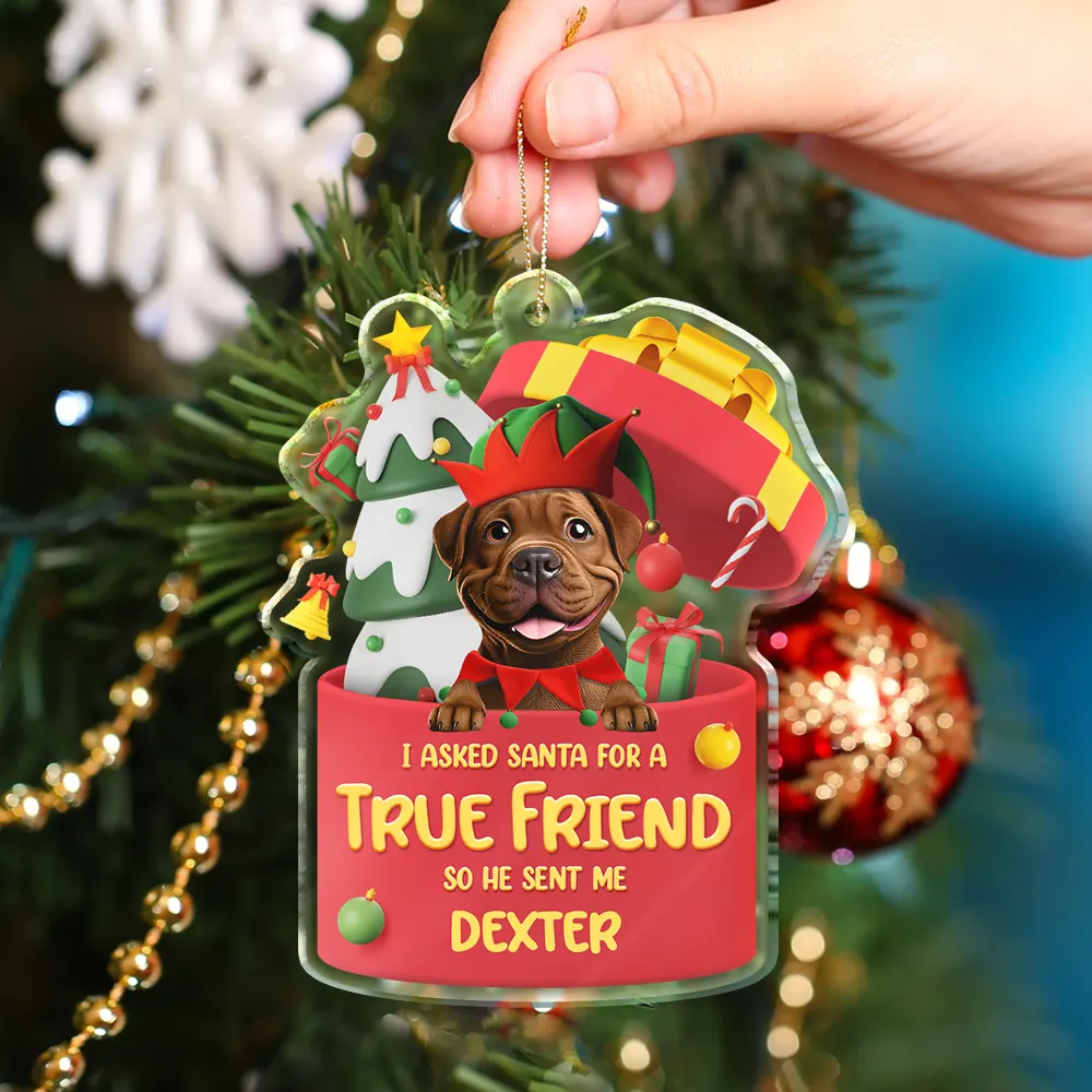 I Asked Santa For A True Friend Dog Cat 3D Effect - Personalized Custom Shaped Acrylic Ornament - Image 4