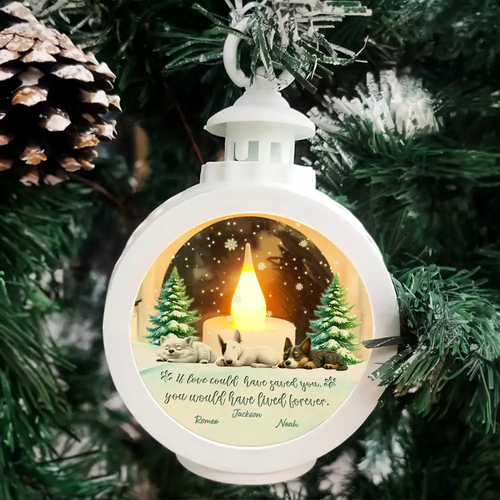 If Love Could Have Saved You - Personalized Candlelight Lantern Ornament - Image 4