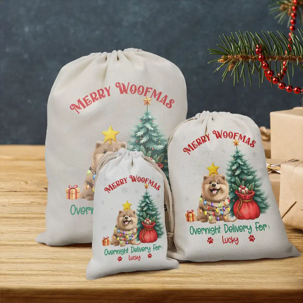 Merry Woofmas Overnight Delivery 3D Effect Dog - Personalized Favor Bag - Image 3