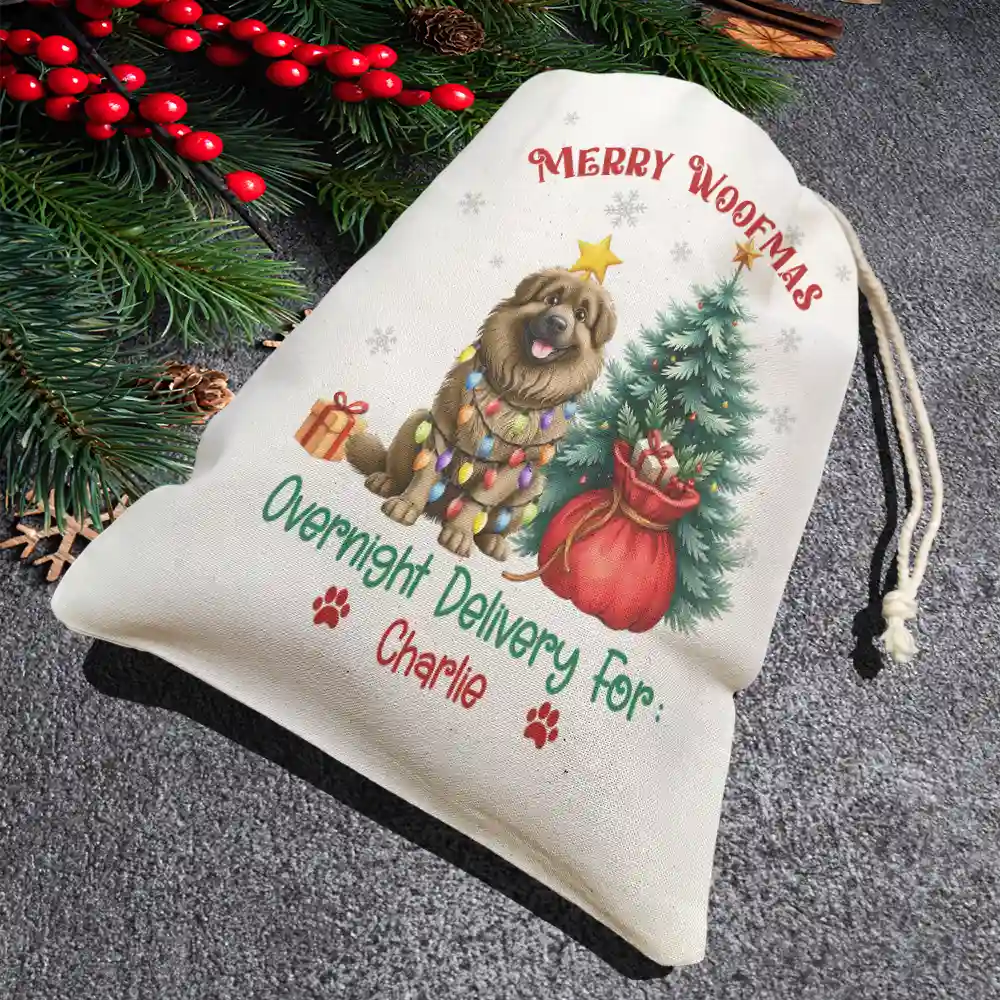 Merry Woofmas Overnight Delivery 3D Effect Dog - Personalized Favor Bag - Image 4