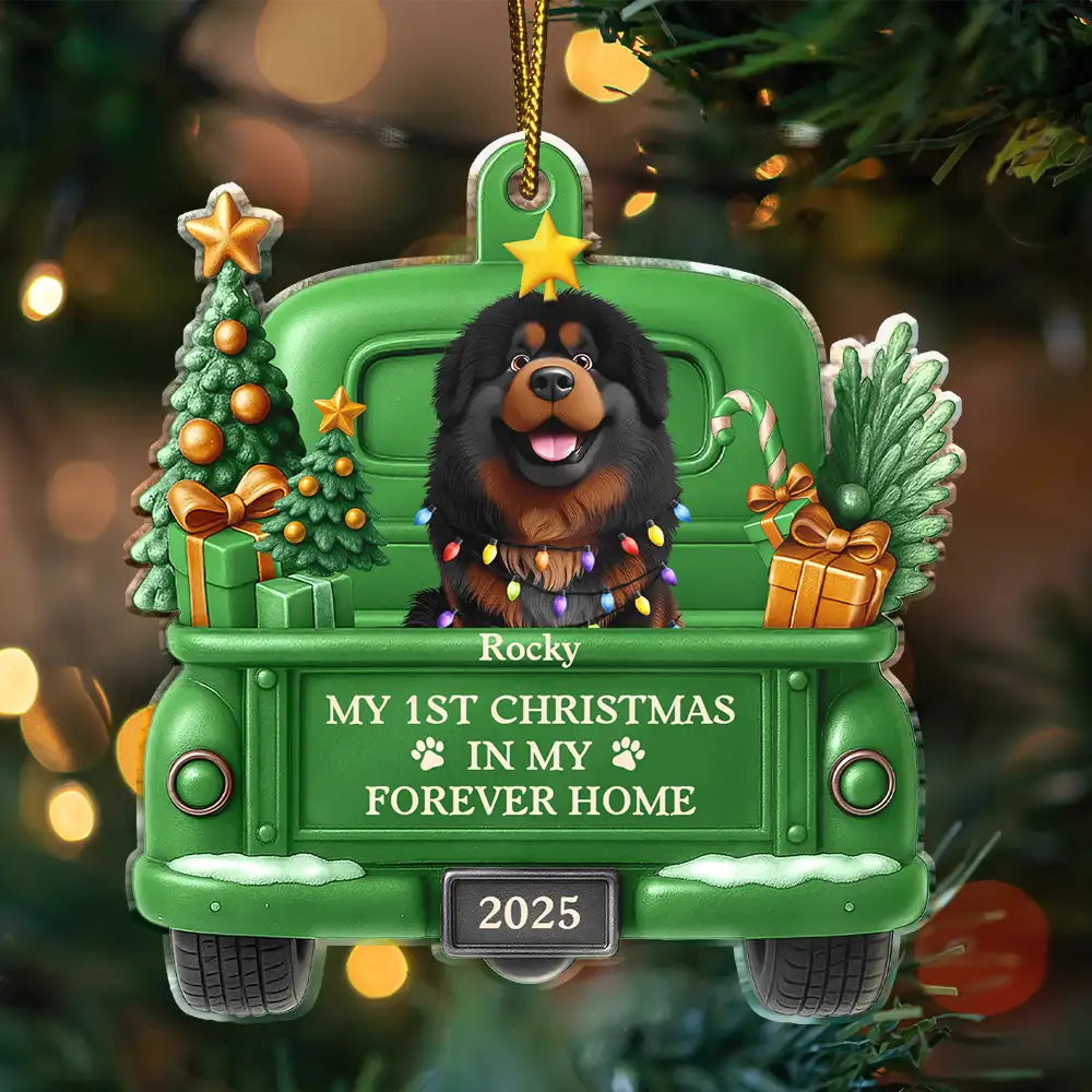 My 1st Christmas In My Forever Home 3D Effect Dog - Personalized Custom Shaped Acrylic Ornament - Image 3