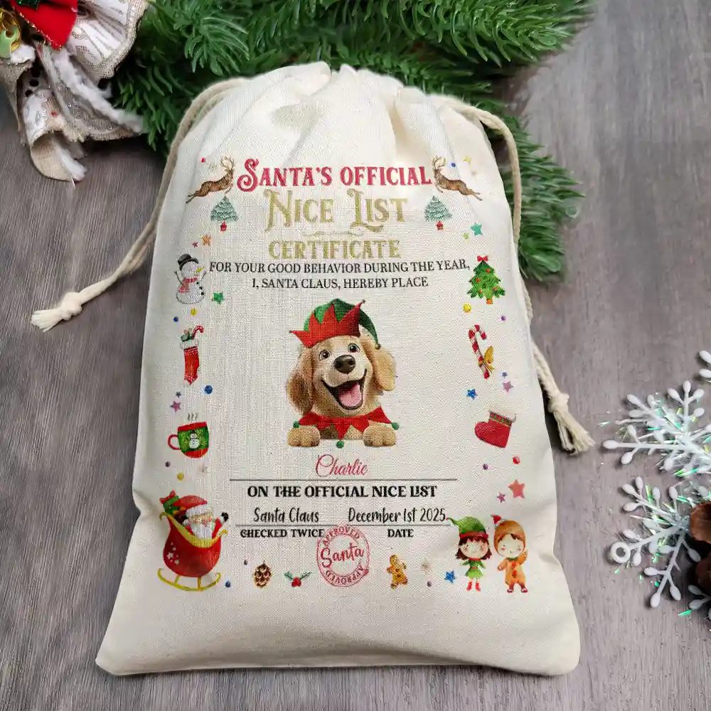 Nice List Certificate - Personalized Favor Bag - Image 2