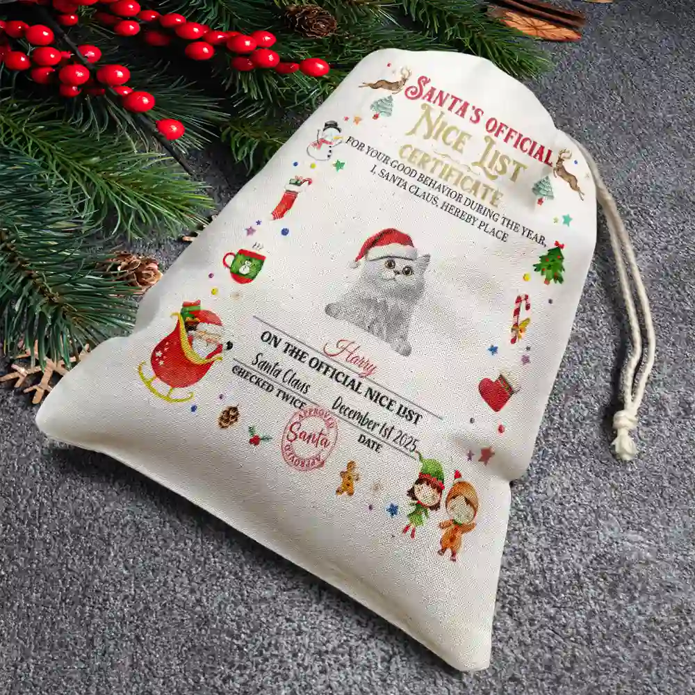 Nice List Certificate - Personalized Favor Bag - Image 4