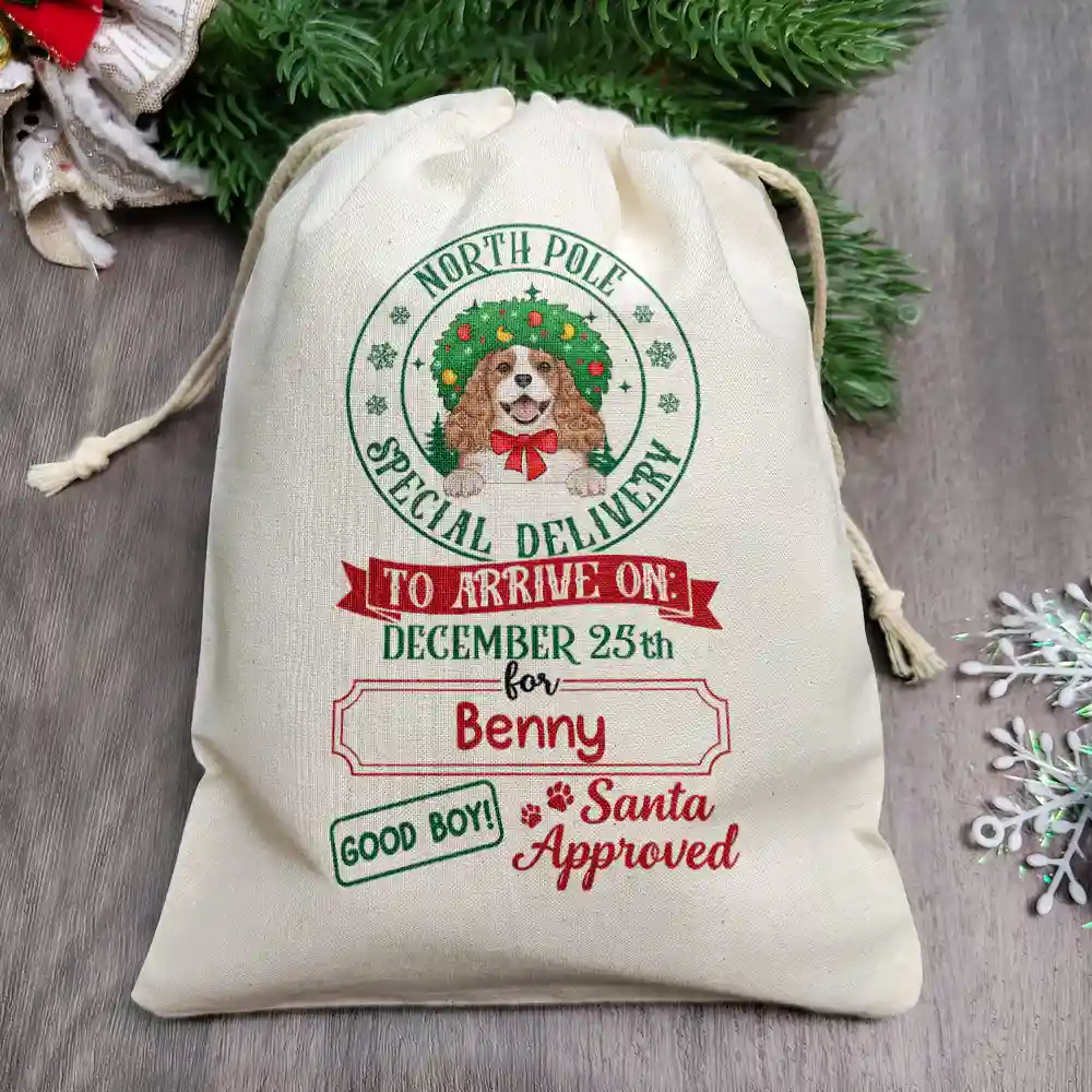 North Pole Special Delivery From Santa Paws - Personalized Favor Bag - Image 2