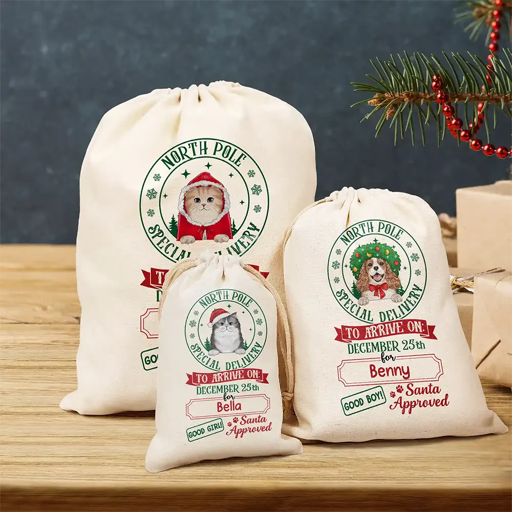 North Pole Special Delivery From Santa Paws - Personalized Favor Bag - Image 3