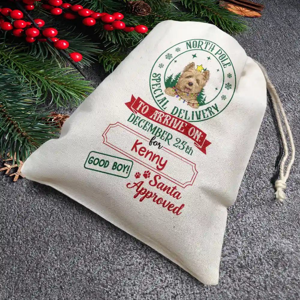 North Pole Special Delivery From Santa Paws - Personalized Favor Bag - Image 4