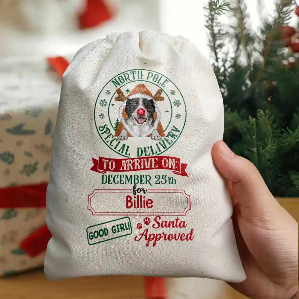 North Pole Special Delivery From Santa Paws - Personalized Favor Bag - Image 5