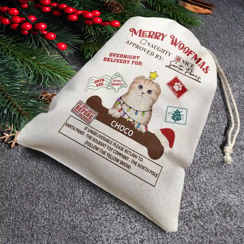 Overnight Delivery From Santa Paws - Personalized Favor Bag - Image 3
