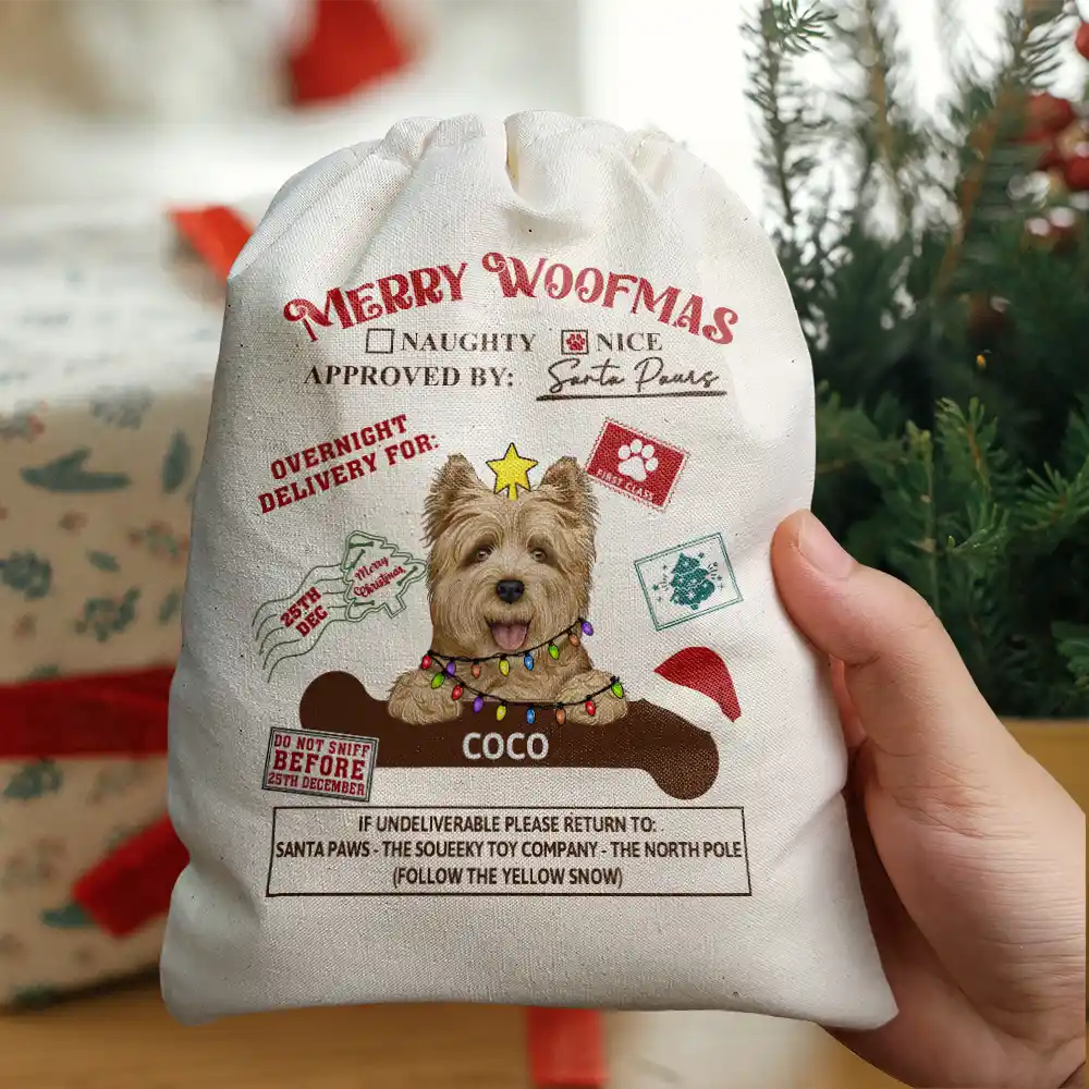 Overnight Delivery From Santa Paws - Personalized Favor Bag - Image 4