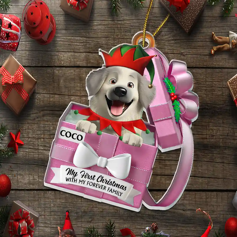 Pet First Christmas, Gift Reveals, Gift Box 3D Effect - Personalized Custom Shaped Acrylic Ornament - Image 5