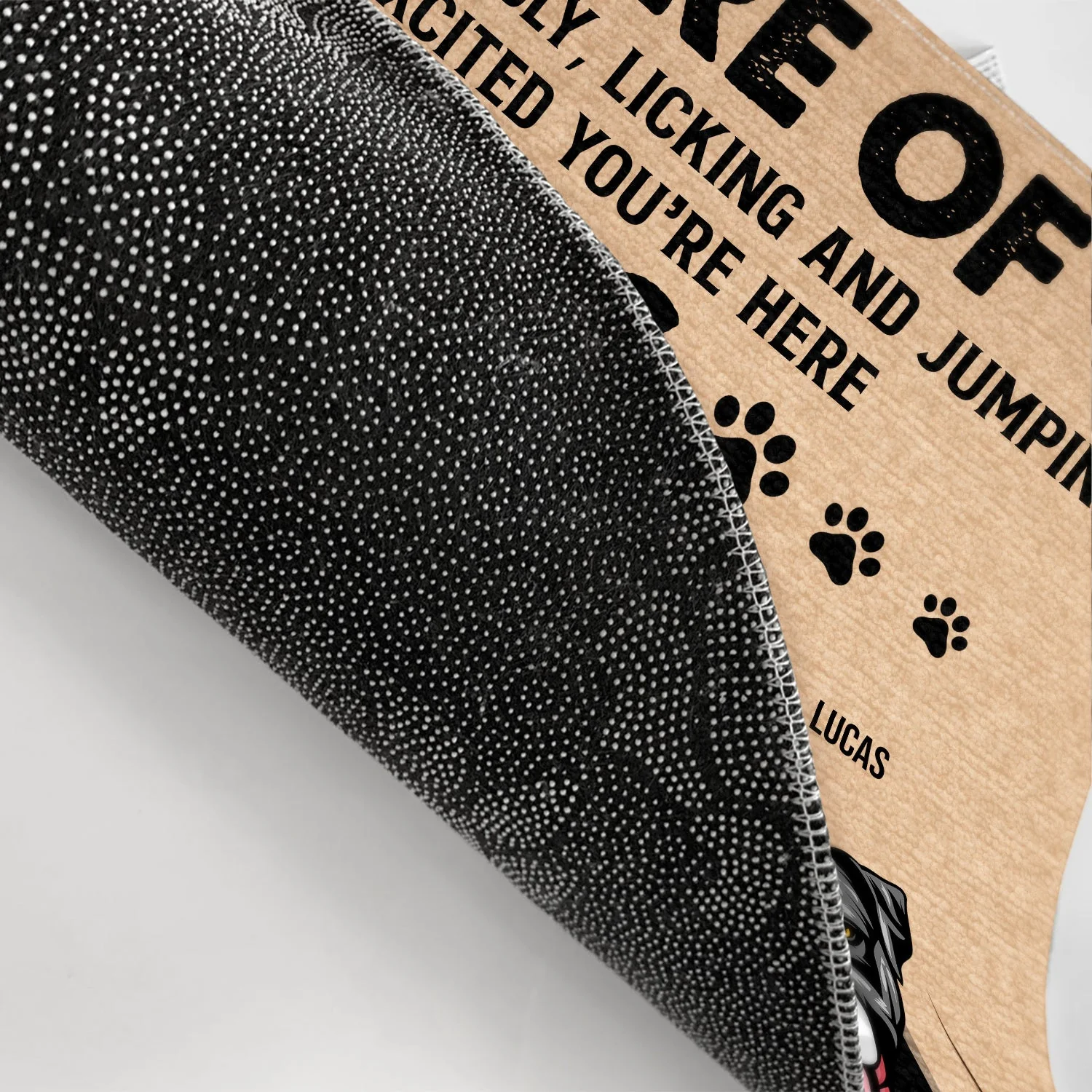 Pet Lovers Beware Of Dogs Cats - Gift For Dog & Cat Lovers - Personalized Custom Doormat - Image 3