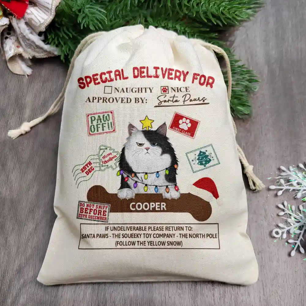 Special Delivery From Santa Paws - Personalized Favor Bag - Image 2