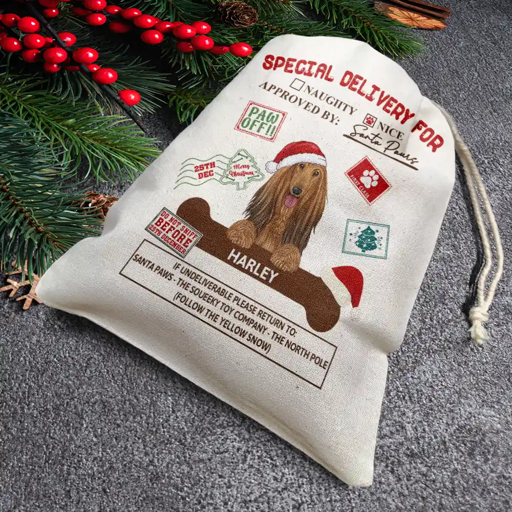 Special Delivery From Santa Paws - Personalized Favor Bag - Image 3