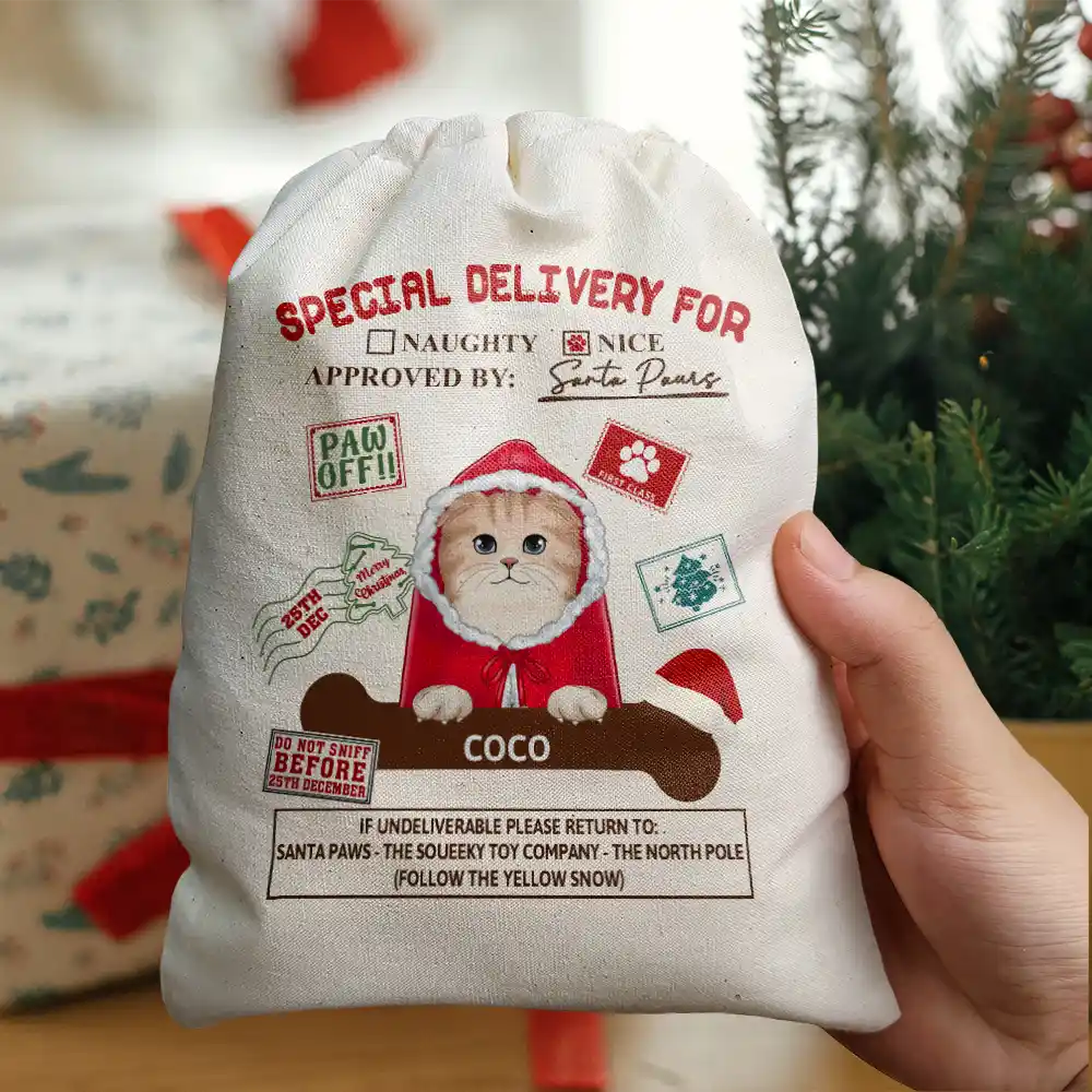 Special Delivery From Santa Paws - Personalized Favor Bag - Image 4