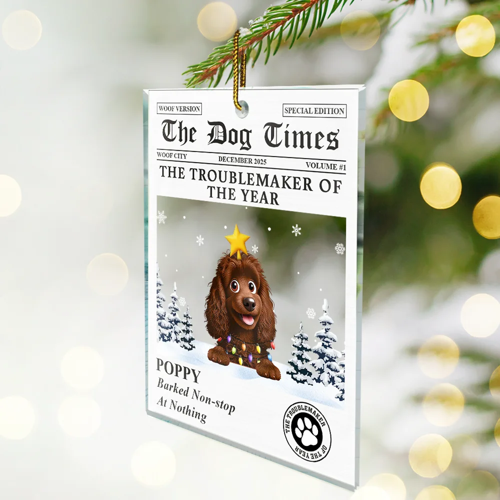 The Dog Times The Meow Times - Personalized Custom Shaped Acrylic Ornament - Image 3