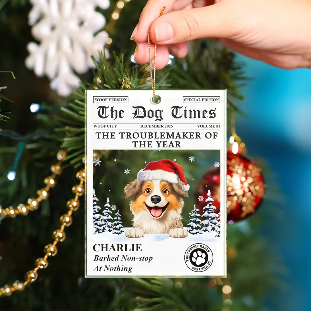 The Dog Times The Meow Times - Personalized Custom Shaped Acrylic Ornament - Image 5