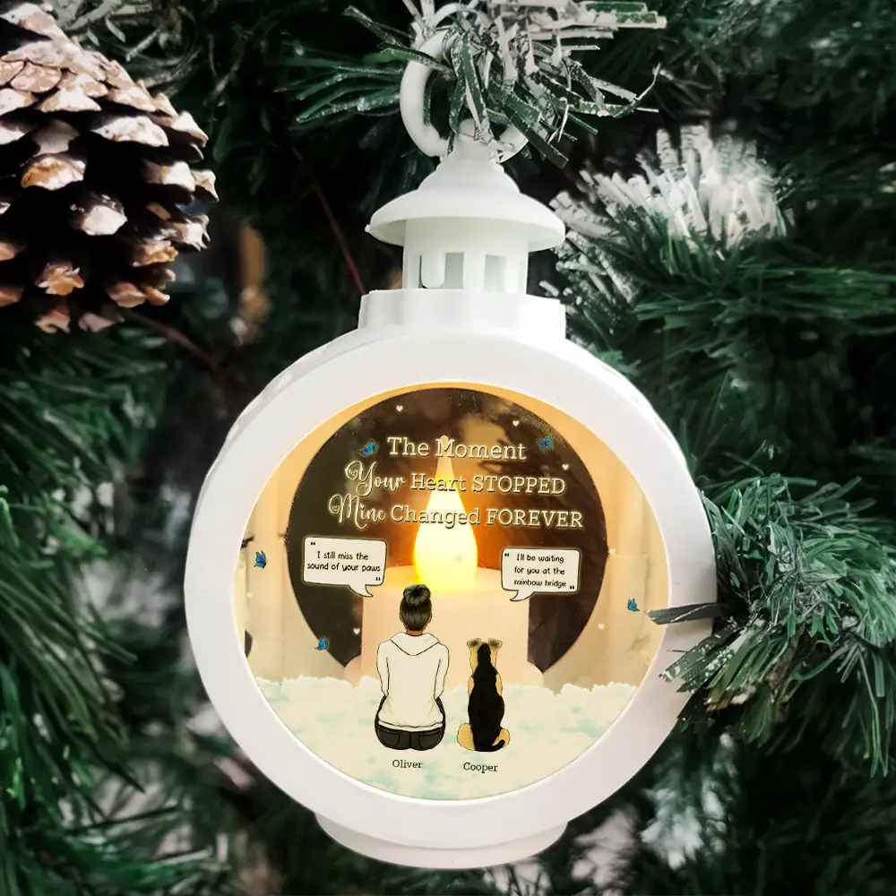 You Were My Favorite Hello And Hardest Goodbye - Personalized Candlelight Lantern Ornament - Image 4
