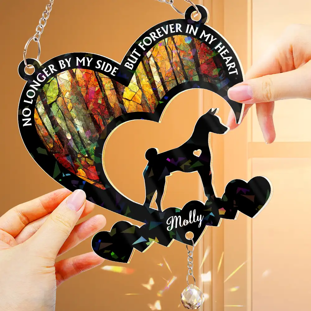 Your Were My Favorite Hello Dog Memorial - Personalized Rainbow Suncatcher With Crystal Ball Prism - Image 4